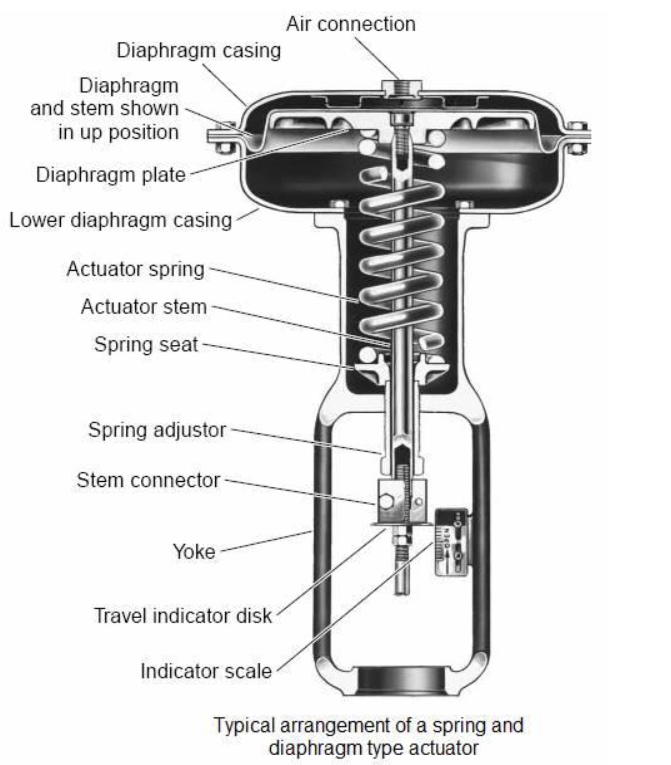 Globe Valve CV 1.jpg